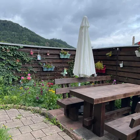 Im Pfaelzerwald *